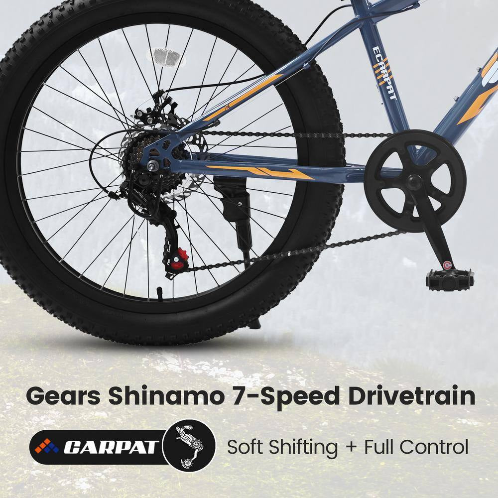 24 in Blue Steel Mountain Bike with Dual Disc Brake and Fat Tire
