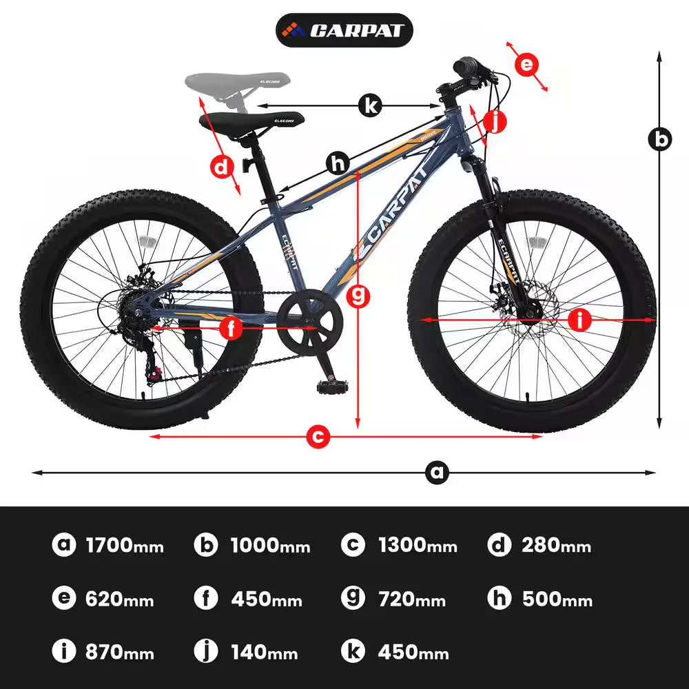 24 in Blue Steel Mountain Bike with Dual Disc Brake and Fat Tire
