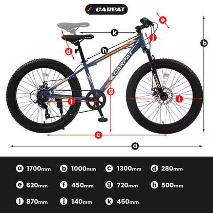 24 in Blue Steel Mountain Bike with Dual Disc Brake and Fat Tire