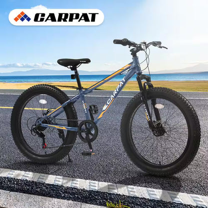 24 in Blue Steel Mountain Bike with Dual Disc Brake and Fat Tire