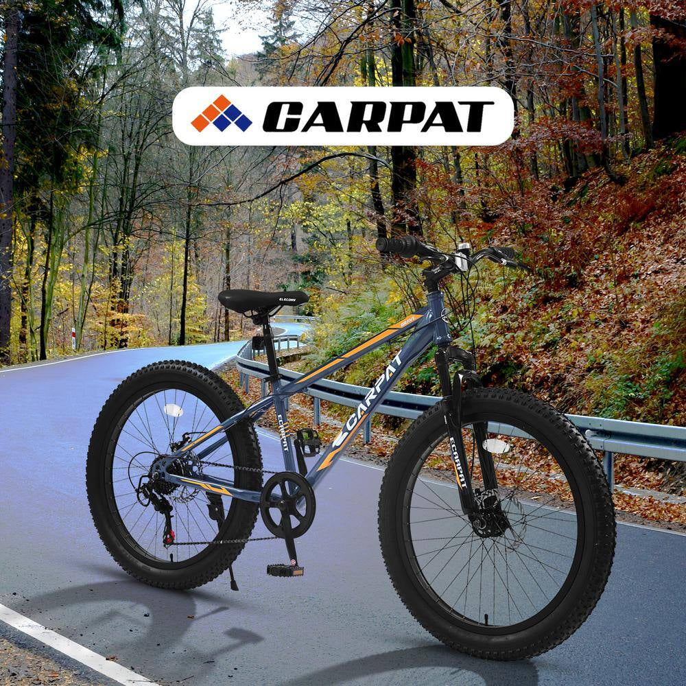 24 in Blue Steel Mountain Bike with Dual Disc Brake and Fat Tire
