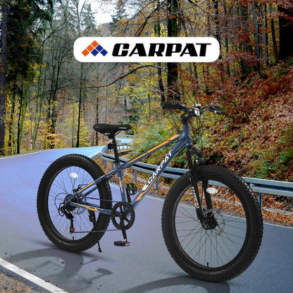24 in Blue Steel Mountain Bike with Dual Disc Brake and Fat Tire